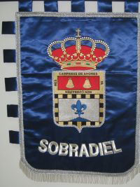 Estandarte municipal de Sobradiel